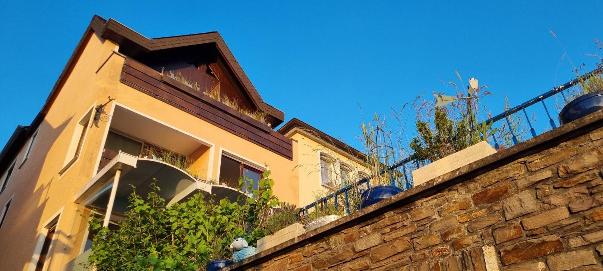 Pension Regina Cochem Exterior photo